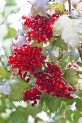 Similar image 8535030