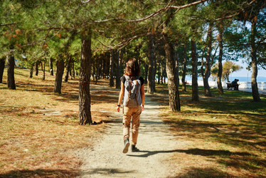 Similar image 8535152