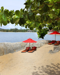 Similar image 8535536