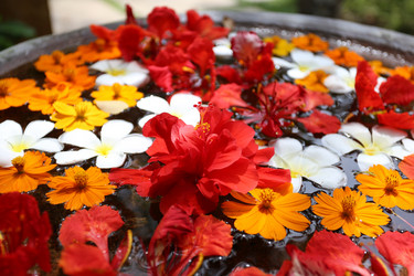 Similar image 8535538