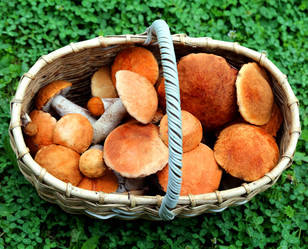 Similar image 8535556