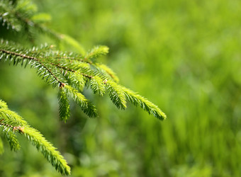 Similar image 8535559