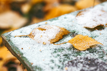 Similar image 8536363