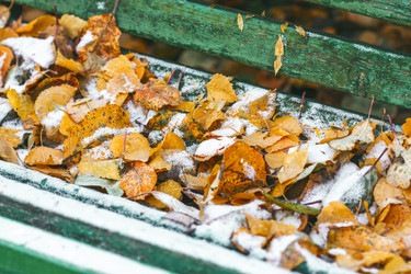 Similar image 8536364