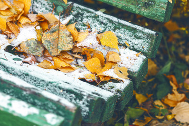 Similar image 8536365