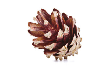 Similar image 8536367