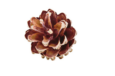 Similar image 8536368