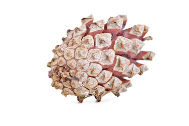 Similar image 8536369