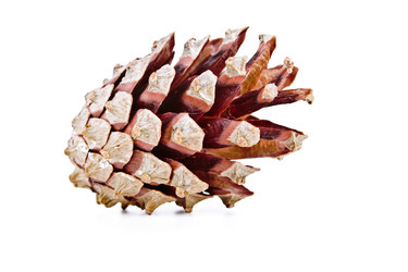 Similar image 8536370