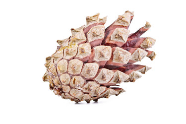 Similar image 8536371