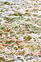 Similar image 8536616