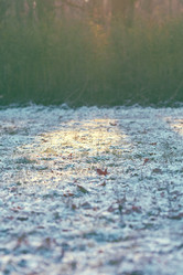 Similar image 8536617