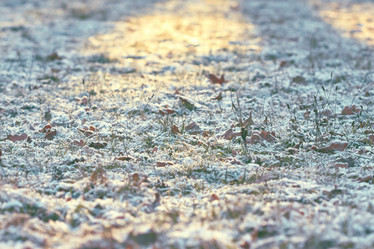 Similar image 8536618