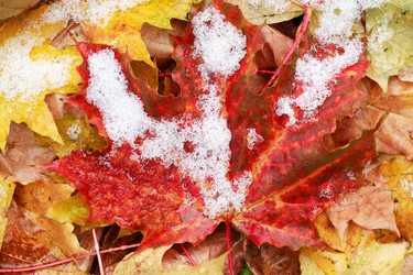 Similar image 8536631