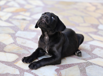 Similar image 8537519