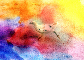 Similar image 8537549