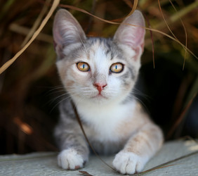 Similar image 8537553