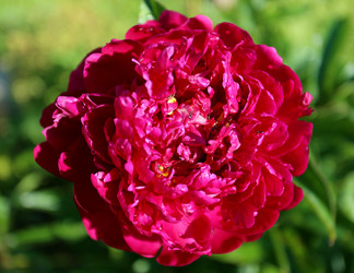 Similar image 8537554