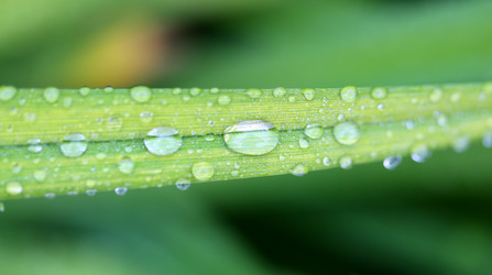 Similar image 8537558