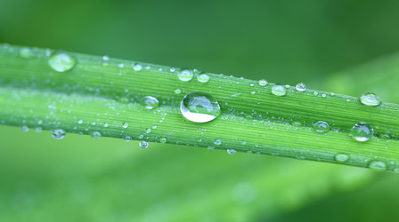 Similar image 8537559