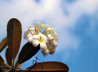 Similar image 8537570