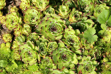 Similar image 8537613