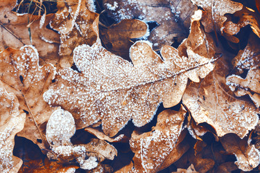 Similar image 8537894