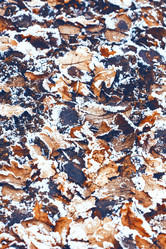 Similar image 8537895