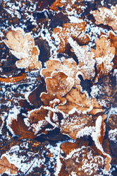 Similar image 8537896