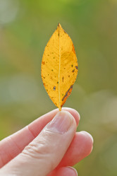 Similar image 8538075