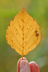 Similar image 8538077