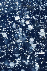 Similar image 8538078