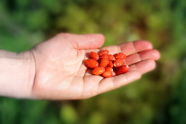 Similar image 8538079