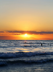 Similar image 8538088