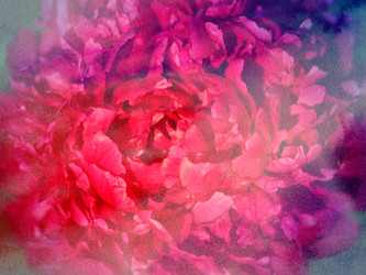 Similar image 8538091