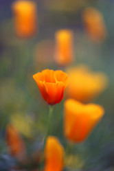 Similar image 8538092