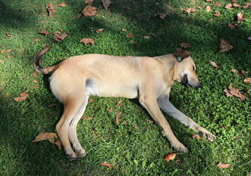 Similar image 8538101