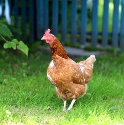 Similar image 8538108