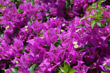 Similar image 8538271