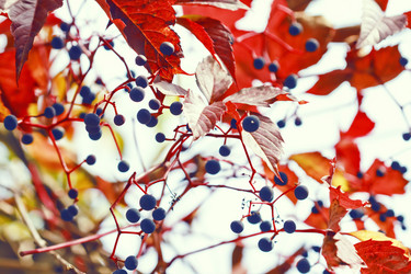 Similar image 8538558