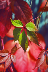 Similar image 8538559