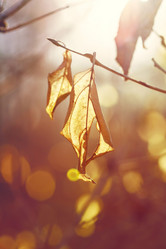 Similar image 8538562