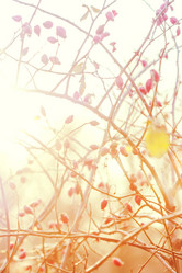 Similar image 8538563