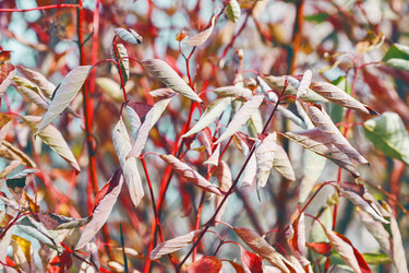 Similar image 8538567