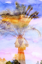 Similar image 8538592