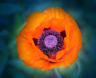 Similar image 8538604