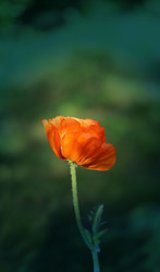 Similar image 8538606