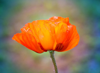 Similar image 8538694