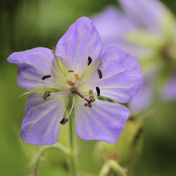 Similar image 8538905