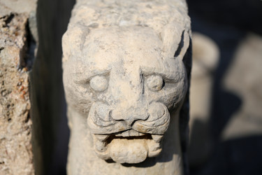 Similar image 8539202